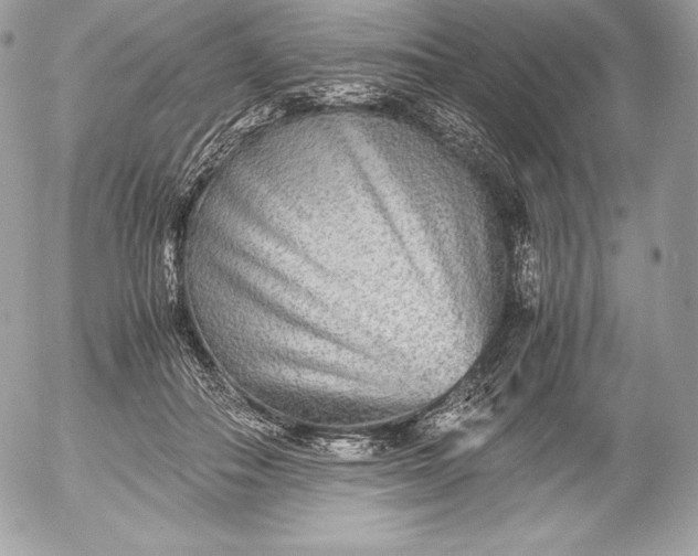 X0000052920506200507221100