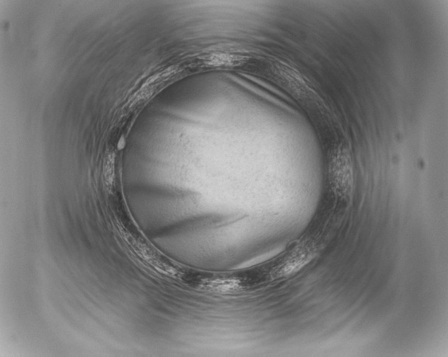 X0000052920554200507221059