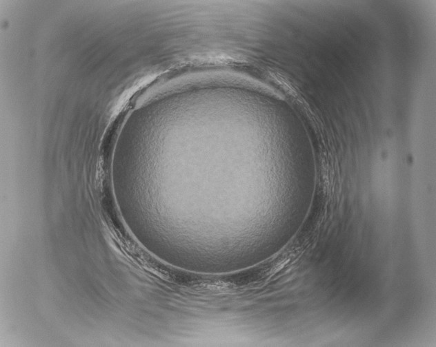 X0000052920583200507221058