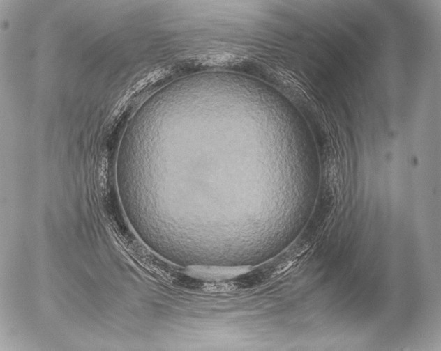 X0000052920591200507221058