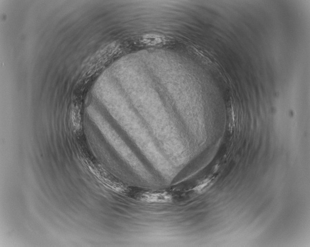 X0000052920606200507221058