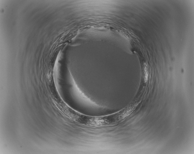 X0000052920607200507221058