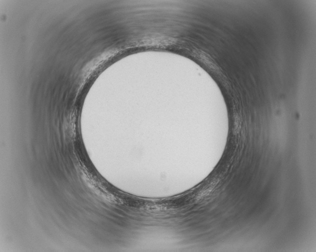 X0000052920632200507221057