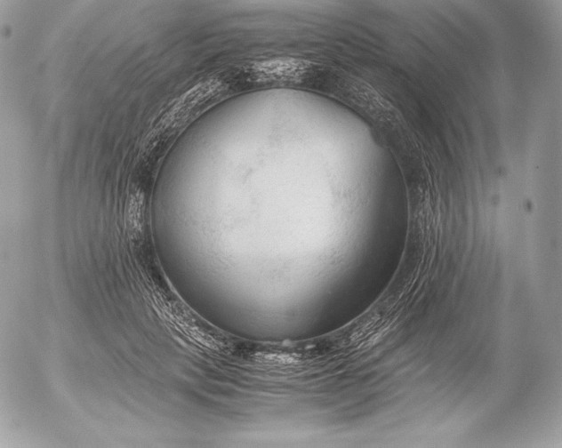X0000052920649200507221057