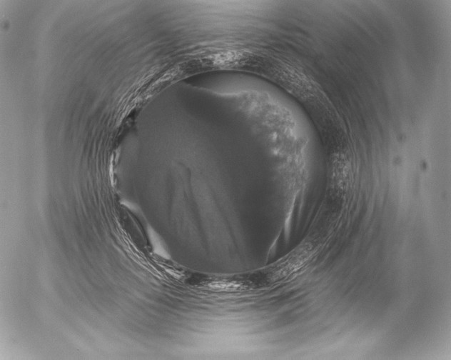 X0000052920650200507221057