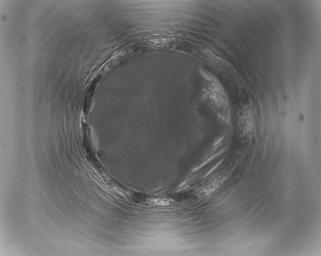 X0000052920654200507221057