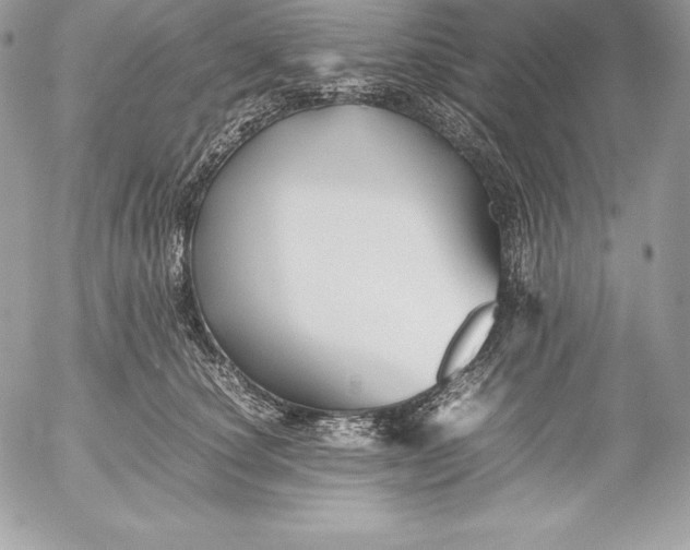 X0000052920660200507221057