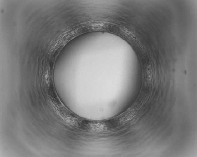 X0000052920698200507221056