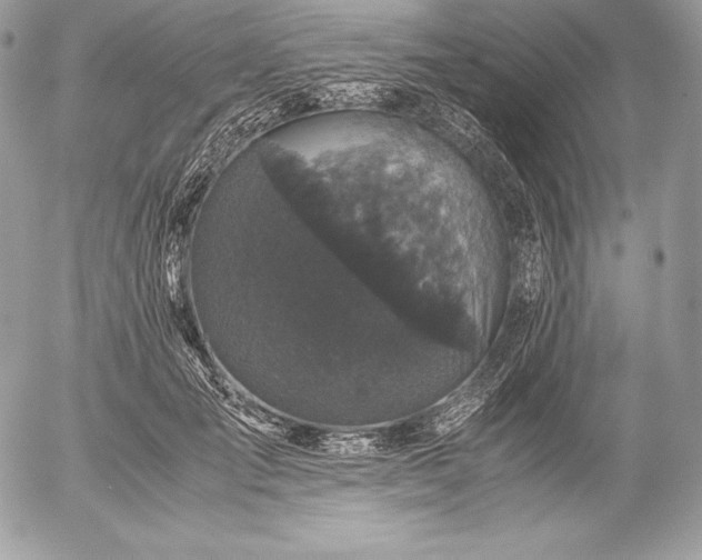 X0000052920701200507221056
