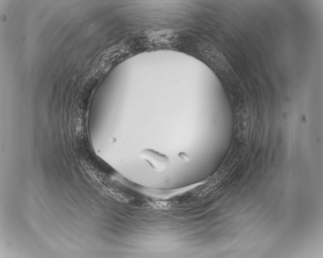 X0000052920706200507221056
