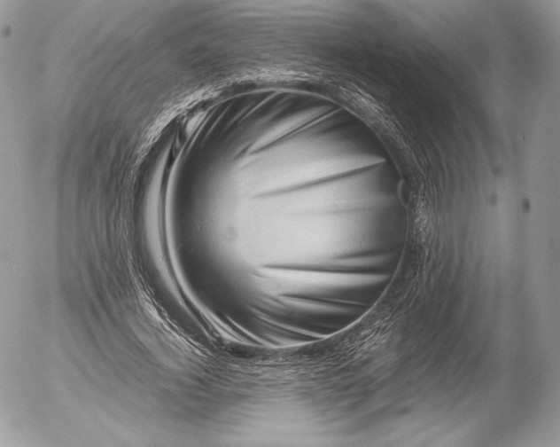 X0000052920732200507221055
