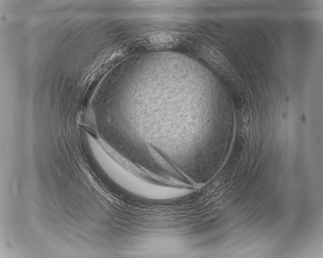 X0000052920742200507221056