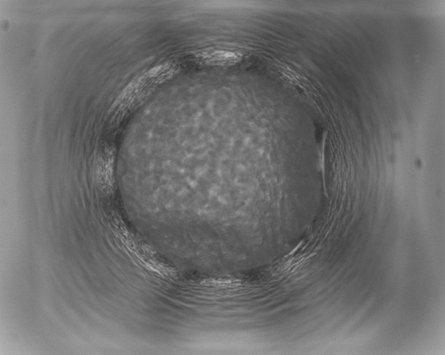 X0000052920745200507221056