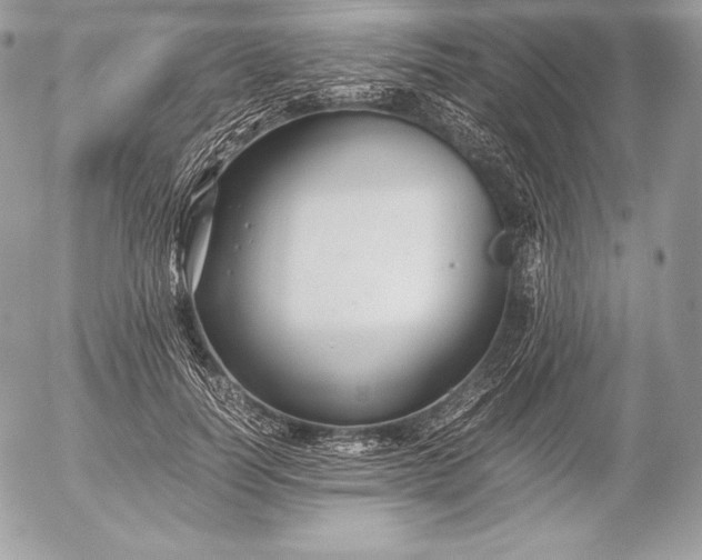 X0000052920746200507221056