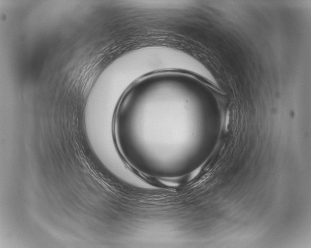 X0000052920750200507221056