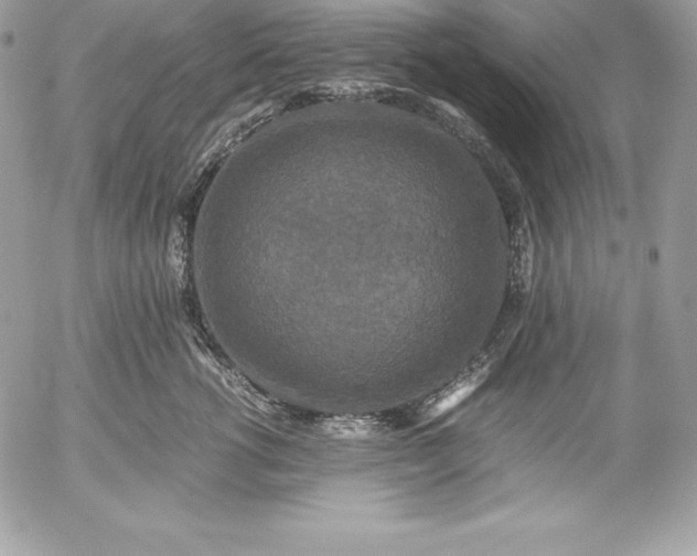 X0000052920762200507221056