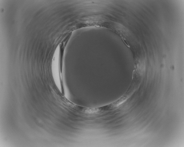 X0000052920767200507221056