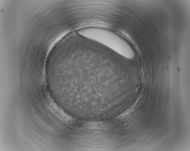 X0000052920780200507221055