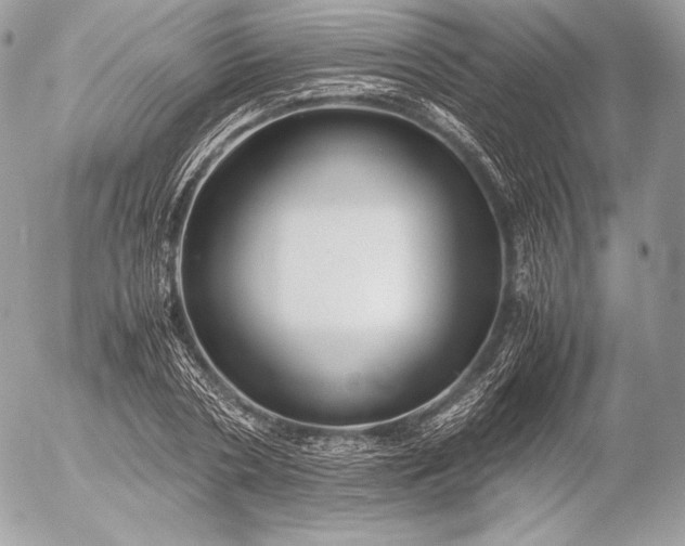 X0000052920786200507221055