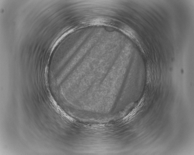 X0000052920798200507221055