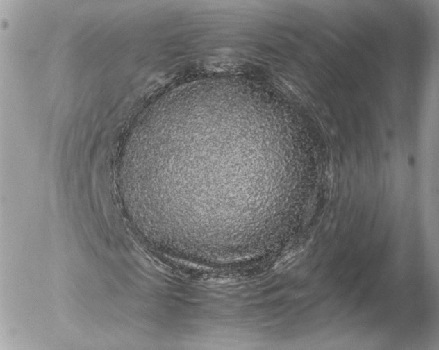 X0000052920817200507221054