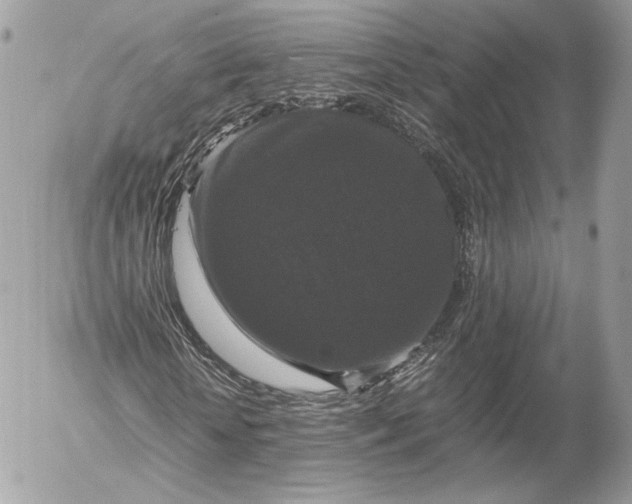 X0000052920818200507221054