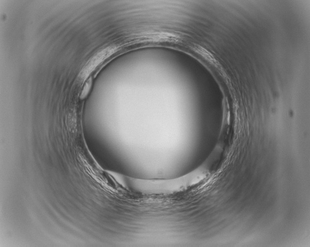 X0000052920834200507221054