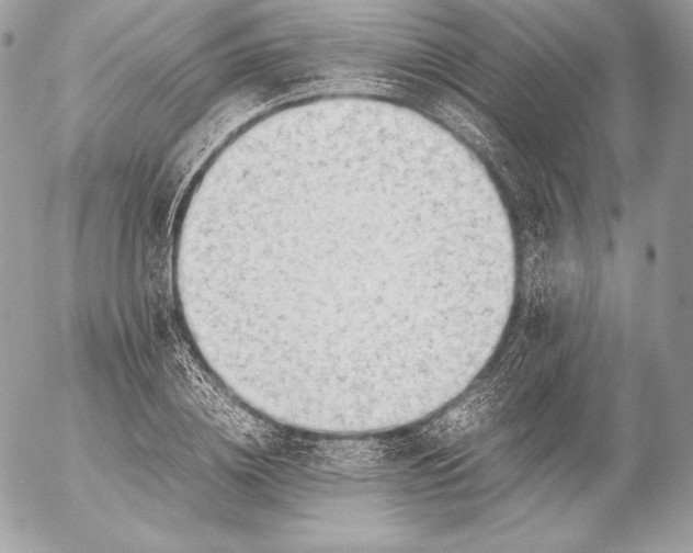 X0000052920836200507221054