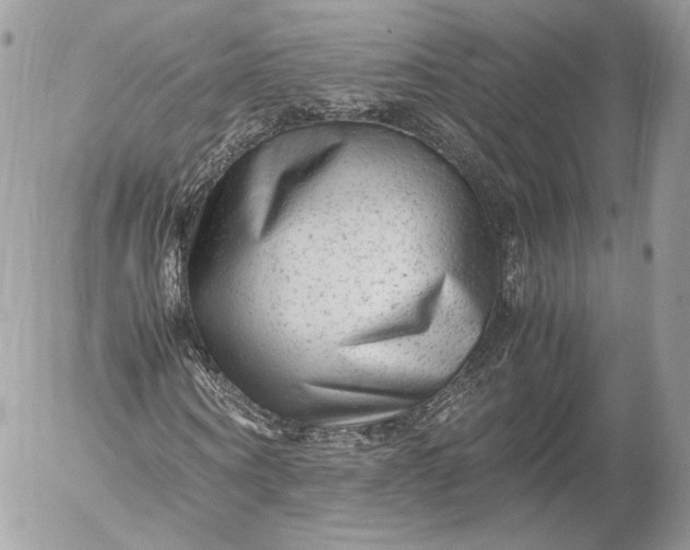 X0000052920866200507221054