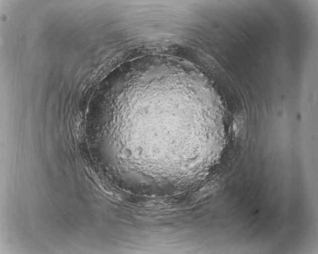 X0000052920867200507221054
