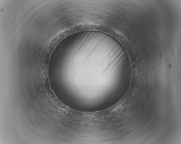 X0000052920870200507221054