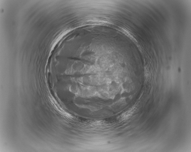 X0000052920891200507221053