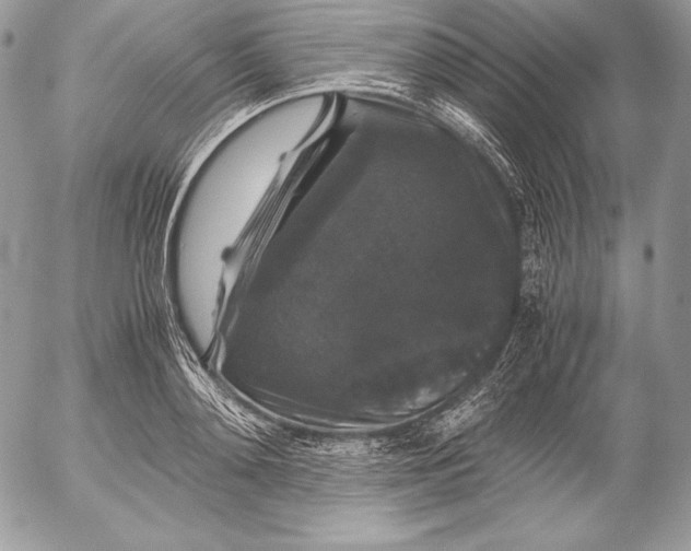 X0000052920892200507221053