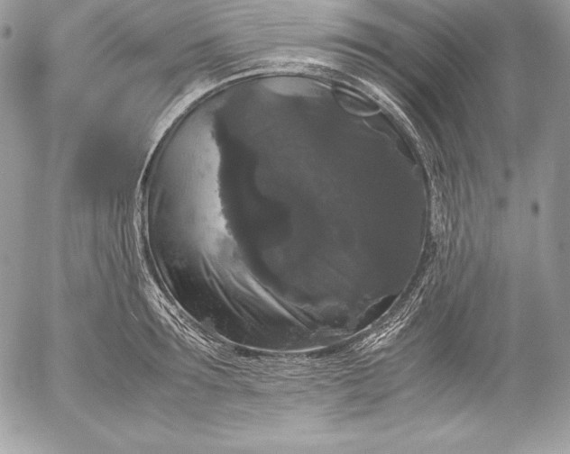 X0000052920899200507221053