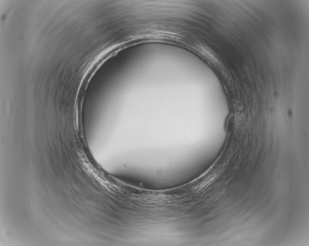 X0000052920940200507221053