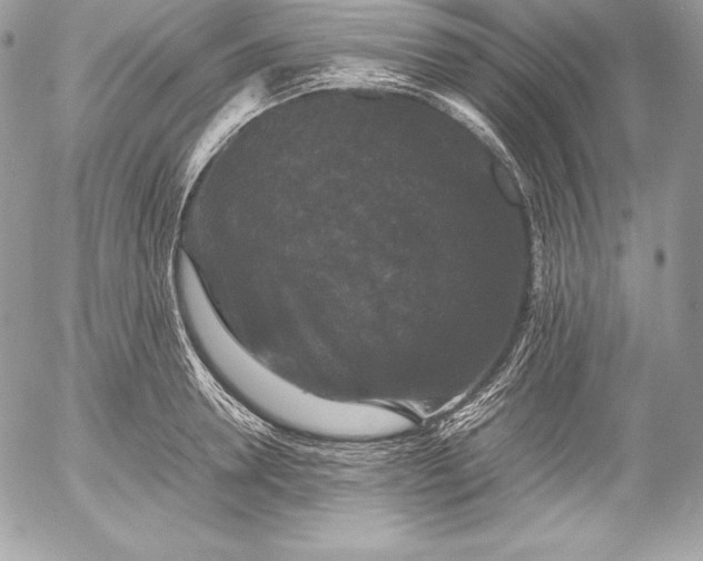 X0000052920946200507221053