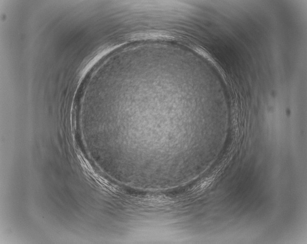 X0000052920983200507221052