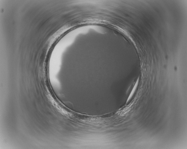 X0000052920995200507221052