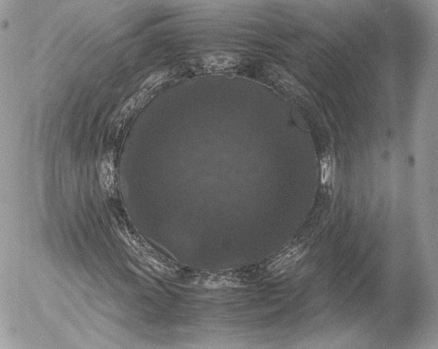 X0000052921011200507221051