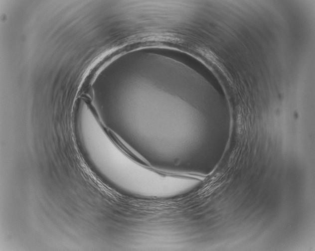X0000052921024200507221051
