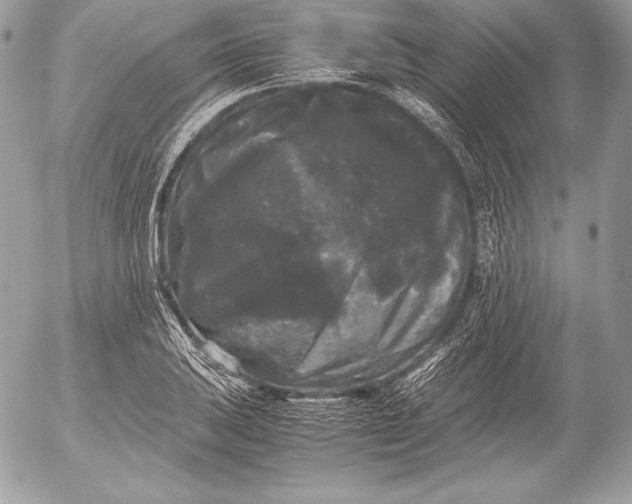 X0000052921031200507221051