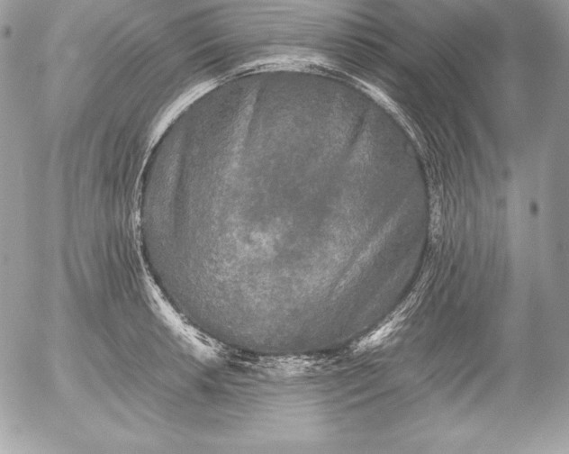 X0000052921042200507221051