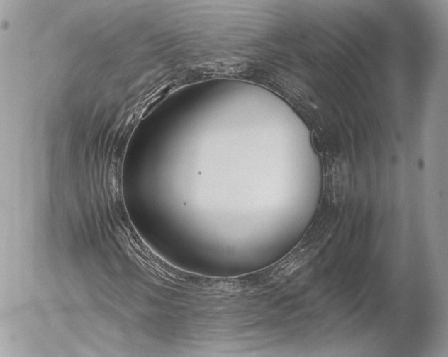 X0000052921058200507221051
