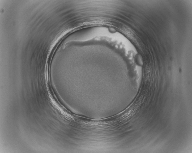 X0000052921084200507221050