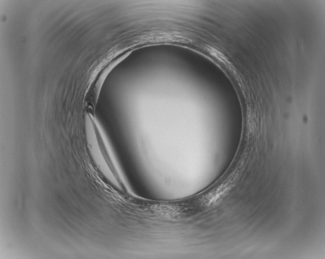 X0000052921089200507221050