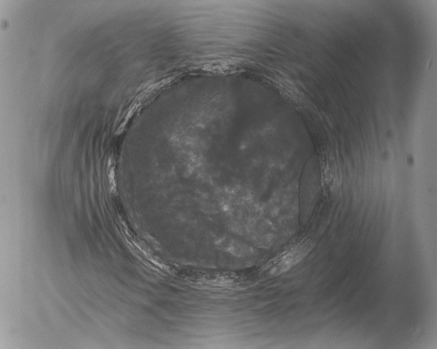 X0000052921106200507221049