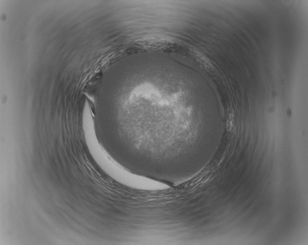 X0000052921108200507221049