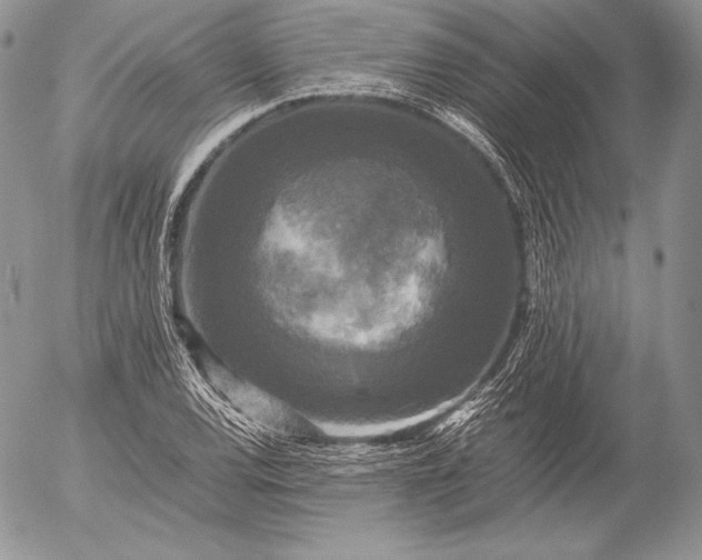 X0000052921120200507221049