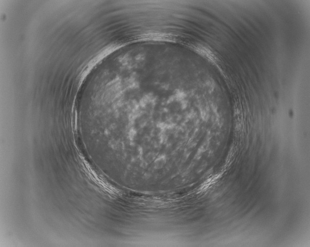 X0000052921125200507221049