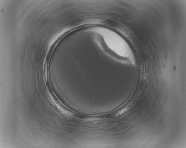 X0000052921127200507221049